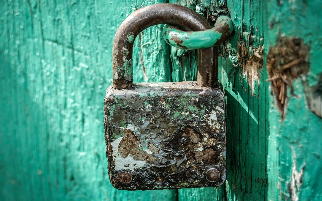 The Role of Moderation in Building a Safe and Secure Community