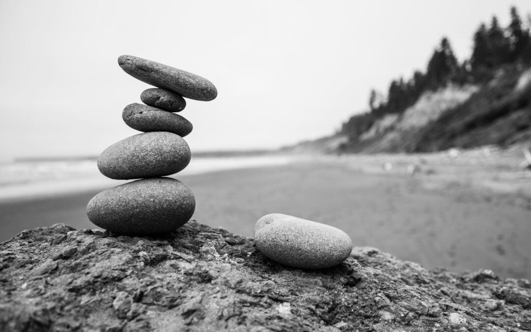 What Exactly is a Full Stack Community Professional?