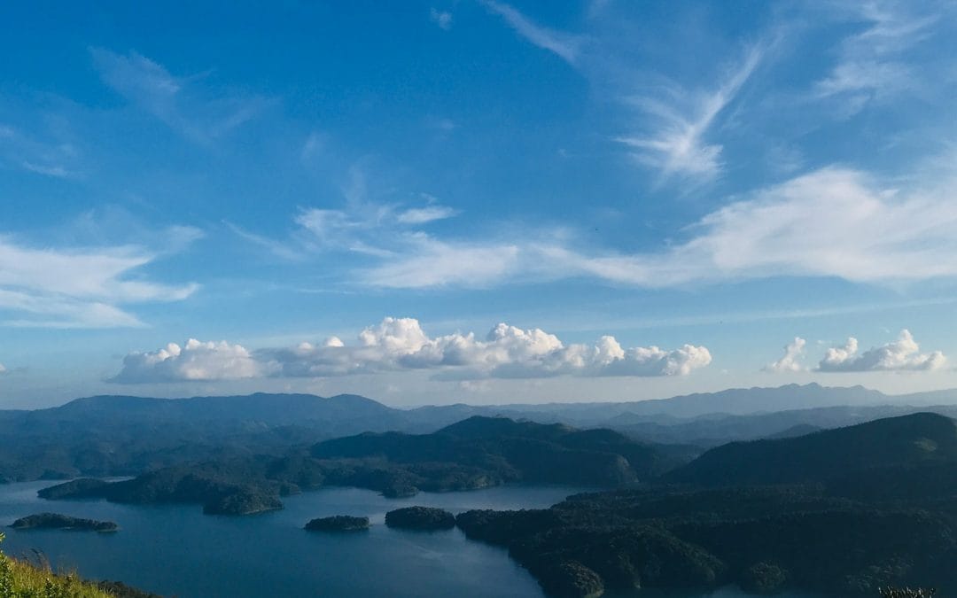 Ultimate Community Professional Bluesky Starter Packs