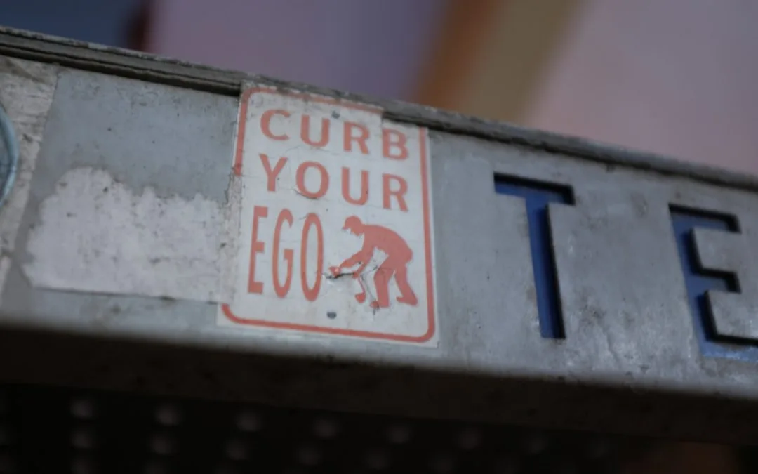 Return on Ego vs. Return on Investment: Why Vanity Metrics Lie to You