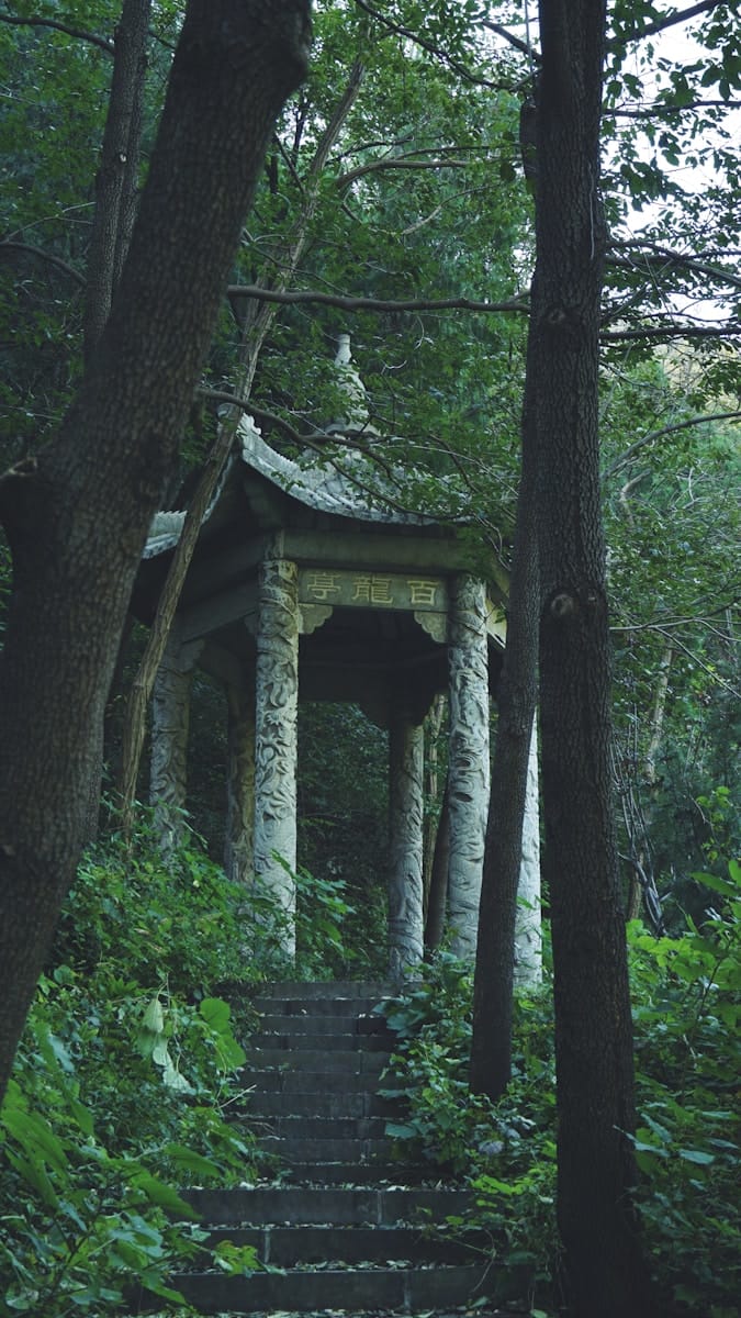 Stone pavilion with stairs in a lush forest